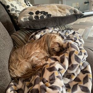 Meet your Posher, Christa